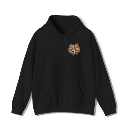 Pet Embroidery Hoodie