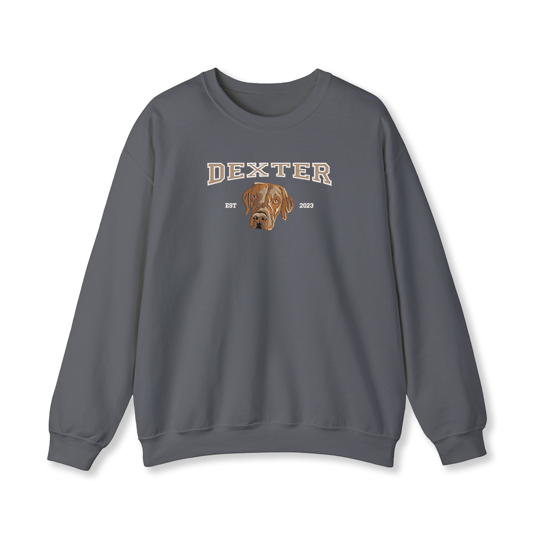 Pet College Embroidery Sweatshirt
