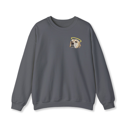 Pet Embroidery Sweatshirt