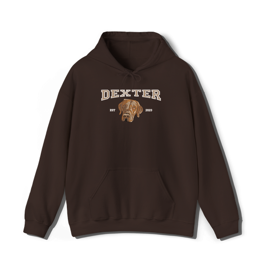 Pet College Embroidery Hoodie