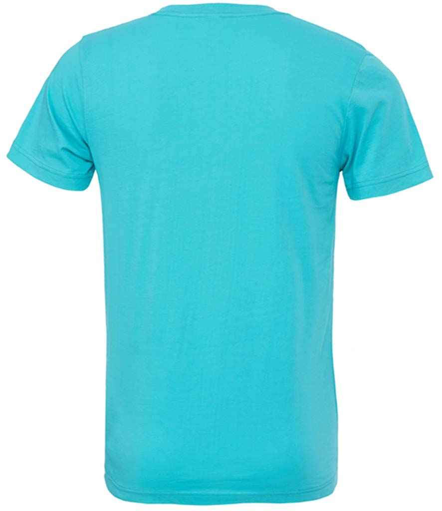 CV3001 Teal Back