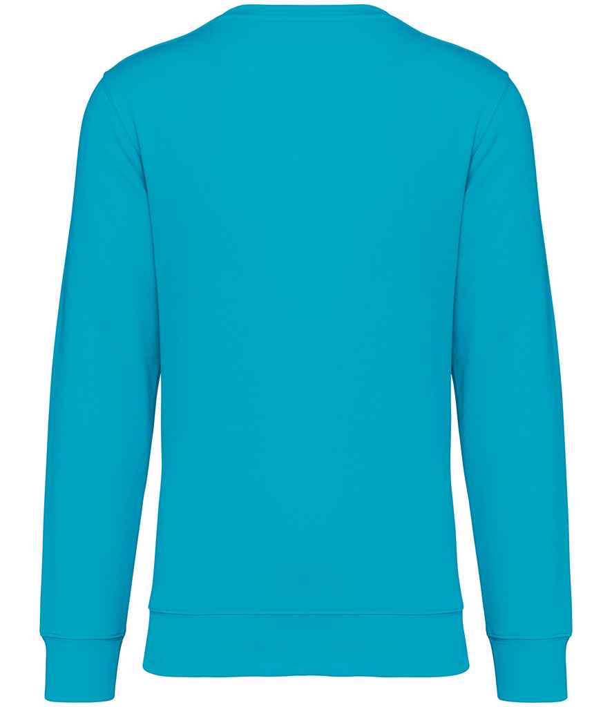 NS400 Light Turquoise Back